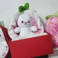 عروسک|اسباب‌بازی بچه|بیرجند, |دیوار