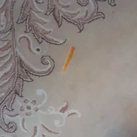 فرش ۹متری|فرش|قم, شهرک مهدیه (مدرس)|دیوار