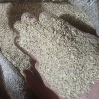 خورده برنج لنجان