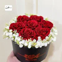 رزینگ شاپ|گل و گیاه طبیعی|خوی, |دیوار