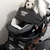 کریر کودک|کالسکه و لوازم جانبی|الوند, |دیوار