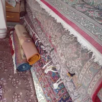 فرش|فرش|میانه, |دیوار