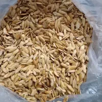 بذر خربزه آغ قوون درجه یک