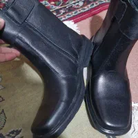 نیم بوت مردانه|کیف، کفش، کمربند|پرند, فاز ۱|دیوار