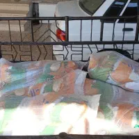 برنج پاکستانی اسنق سیه چشم نیمدانه باغبان کالابرگ