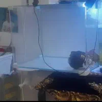 اگواریوم