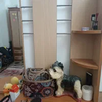 میز توالت|تخت و سرویس خواب|جهرم, |دیوار