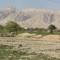 استخدام نیروی کشاورزی