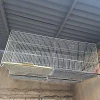 سهره وقفس