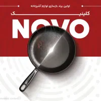 استخدام نیروی جوان