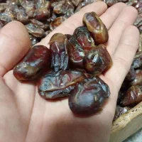 خرما .رطب . قصب