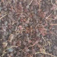 کشمش پاکنشده ۲۶کیلو|خوردنی و آشامیدنی|شال, |دیوار