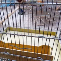 دوعدد قفس.|لوازم جانبی حیوانات|تهران, افسریه شمالی|دیوار