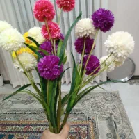 گل طبیعی|گل و گیاه طبیعی|مشهد, هفت تیر (آب و برق)|دیوار