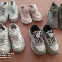 لباس وکفش|کیف، کفش، کمربند|کاشمر, |دیوار