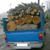 خرید و برش چوب و درخت و کمچک از روی زمین