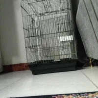 قفس 1033 بزرگ