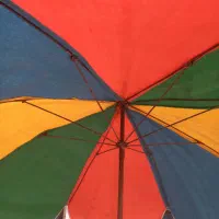 چتر بسطی بزرگ|کوهنوردی و کمپینگ|اهواز, کوی شایسته|دیوار