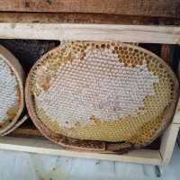 عسل طبیعی به زمانت آزمایشگاه|خوردنی و آشامیدنی|ربط, |دیوار