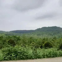 خط ایرانسل ۰۹۳۳