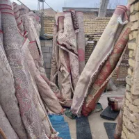 قالی وپتووموکت شویی خراجی
