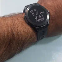 واچ بلک شارک