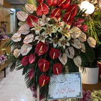 ارائه خدمات سبد گل دسته گل تاج گل پایه گل ترحیم|خدمات پذیرایی، مراسم|مشهد, امیر|دیوار