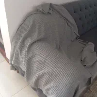 شال مبل|رختخواب، بالش، پتو|سیرجان, |دیوار