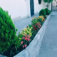 خدمات باغبانی خاک گلدون باغچه کاری کاشت گل درتهران|خدمات باغبانی و درختکاری|تهران, مرزداران|دیوار