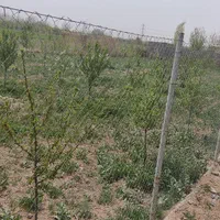 از 500 متر تا 1000 هکتار|فروش زمین و ملک کلنگی|هشتگرد, مدرس|دیوار