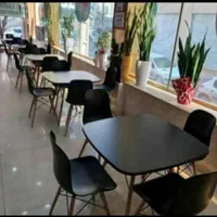 صندلی پلاستیکی ناهارخوری کافه و رستوران کد Mo40|میز و صندلی غذاخوری|تهران, ستارخان|دیوار