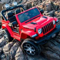 نیازمند خودرو اجاره ای