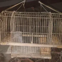 قفس سهره تله|لوازم جانبی حیوانات|تهران, گلستان (شهرک راه آهن)|دیوار