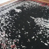 قالی ۶ متری سالم ارزان