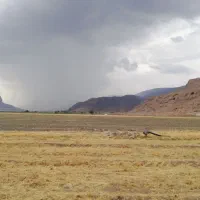 اجاره ای گله دونی، دامداری