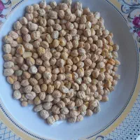 فروش نخود