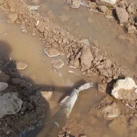 ۵ هکتار زمین آبی مناسب کشت گندم و هنداونه و گوجه .