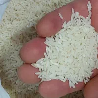 برنج‌هاشمی‌درجه‌۱محصول۱۴۰۴