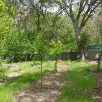 باغ زیبا و قابل سکونت با سند شش دانگ تک برگ|فروش زمین و ملک کلنگی|فیروزکوه, |دیوار