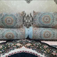 روبالشتی سنتی جنس ضخیم ومخمل شانل یزد
