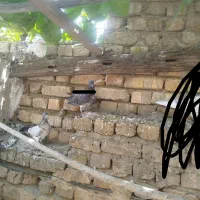 کبوتر|پرنده|خوانسار, |دیوار