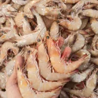 فروش میگو تحویل درب منزل