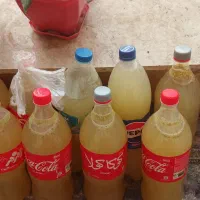 آبغوره تازه