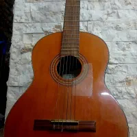 گیتار فرناندز اصل