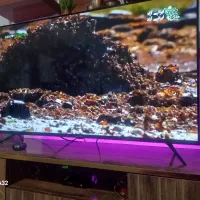 تلویزیون هوشمند ایکس ویژن در نو