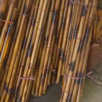 نی خیزران|گل و گیاه طبیعی|محلات, |دیوار