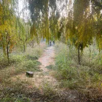 زمین سنددار.تهراندشت.کردان.سعیداباد|فروش زمین و ملک کلنگی|کرج, فاز ۱ مهرشهر|دیوار