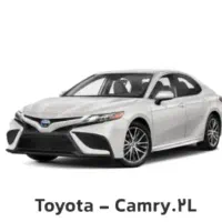 حواله جانبازی