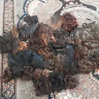 تعدادی کلاه گیس نونو|آرایشی، بهداشتی، درمانی|هشتگرد, شهرک آفتاب|دیوار