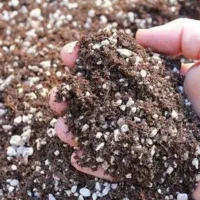 پرلیت گلخانه ای|گل و گیاه طبیعی|مشهد, خواجه ربیع|دیوار